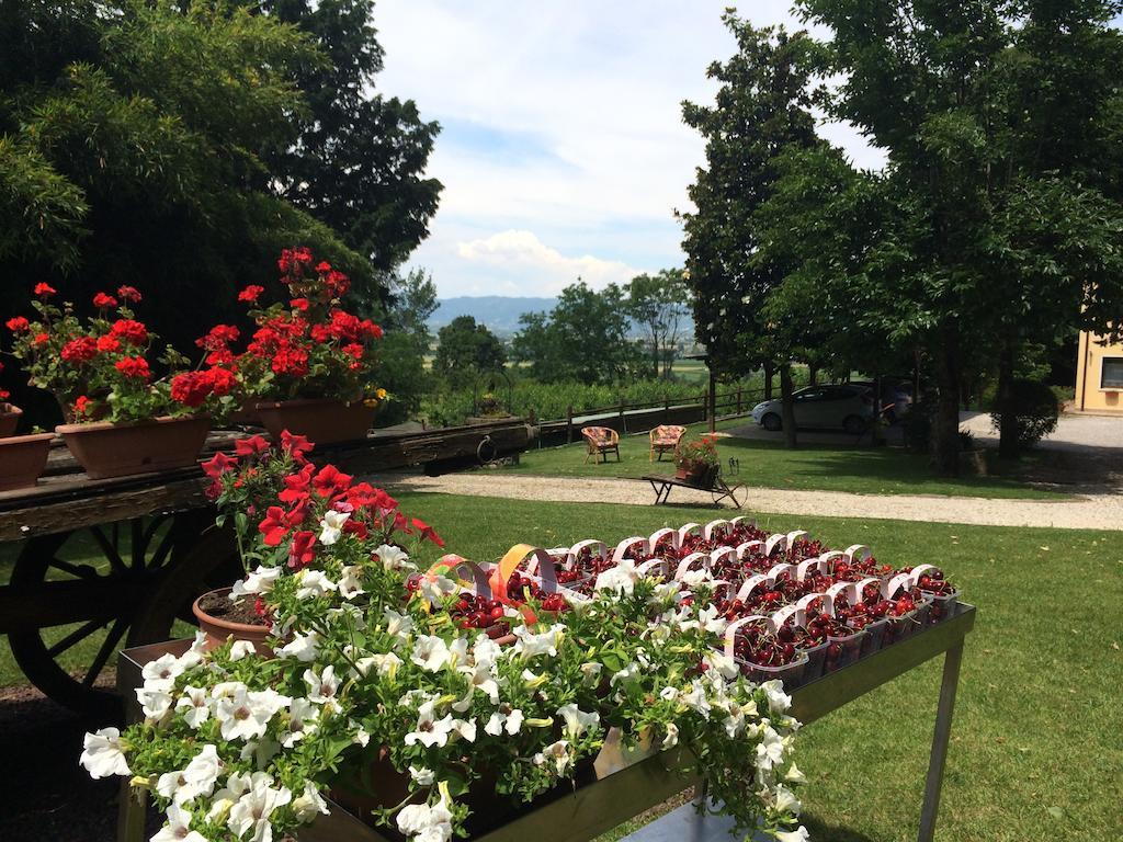 Rovolon Agriturismo Al Colle Del Ciliegioヴィラ エクステリア 写真