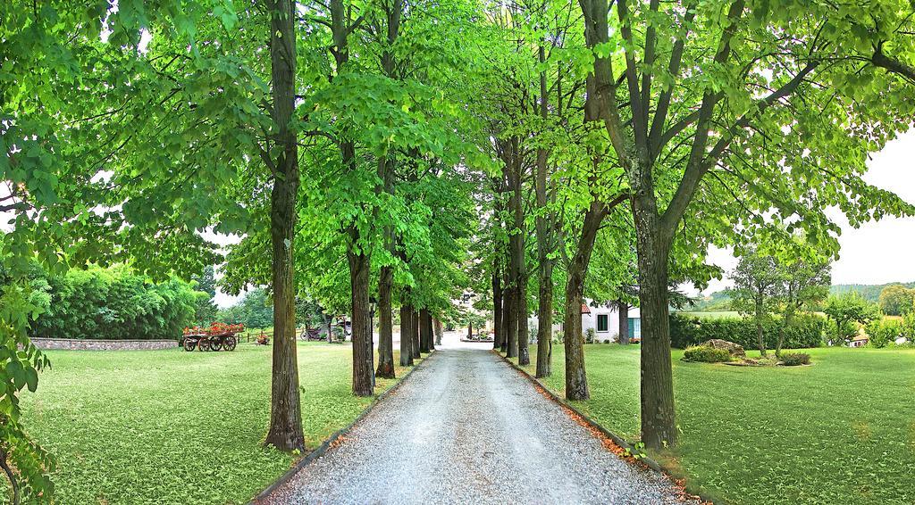 Rovolon Agriturismo Al Colle Del Ciliegioヴィラ エクステリア 写真